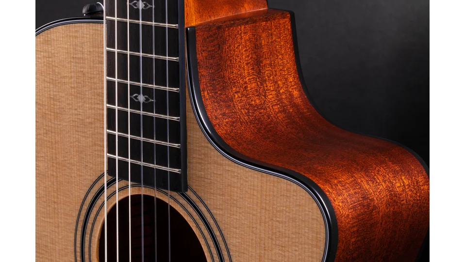 312ce-NSapeleアコースティック エレクトリック ギター | Taylor Guitars